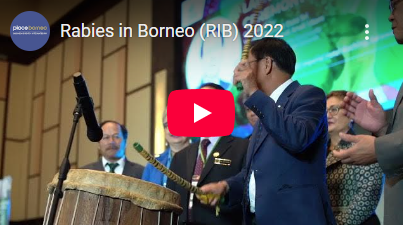 RIB 2022 Thumbnail